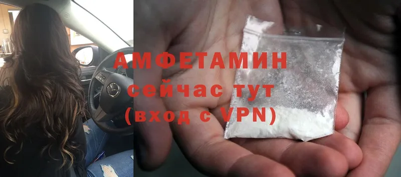 магазин    Каменногорск  Amphetamine Premium 